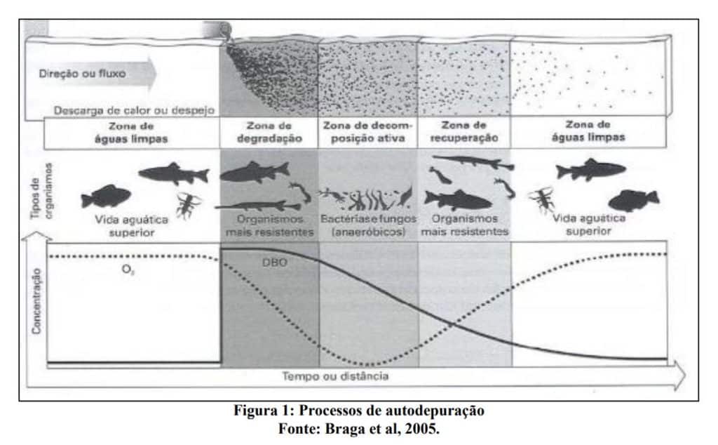 desoxigenacao-autodepuracao-corpo-receptor-efluentes