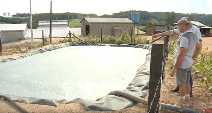 tratamento-efluentes-farinha-mandioca-adubo