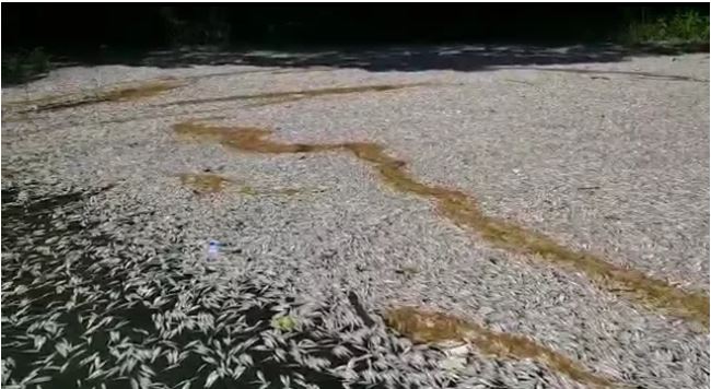 concetracao-agrotoxicos-agua-represa-billings