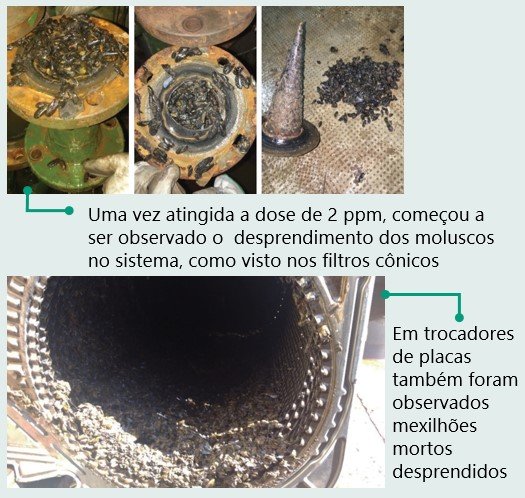 oxamine-buckman-protecao-sistemas-agua