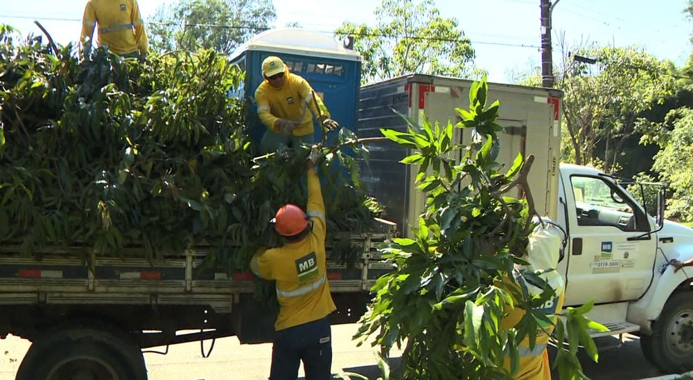 usina-verde-campinas-sp