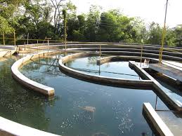 empresa-ro-trata-efluentes