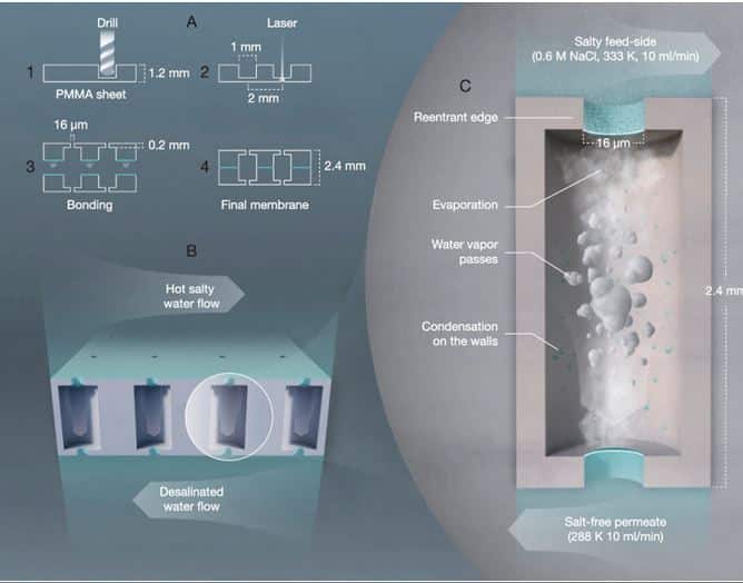 insetos-membranas-ecologicas-dessalinizacao