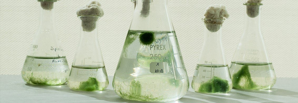 uso-microalgas-sustentabilidade-tratamento-efluentes