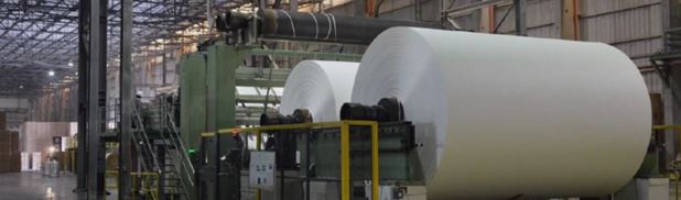 governo-sp-parceria-bracell-investimento