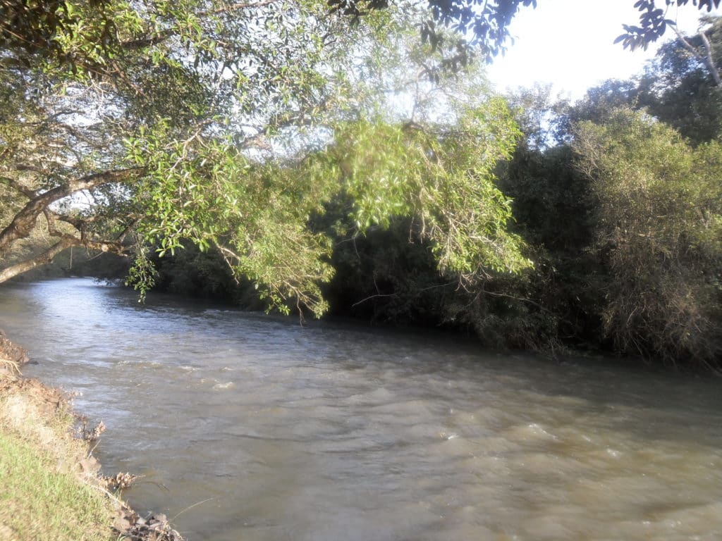 rio-sao-jose-cascavel-2020