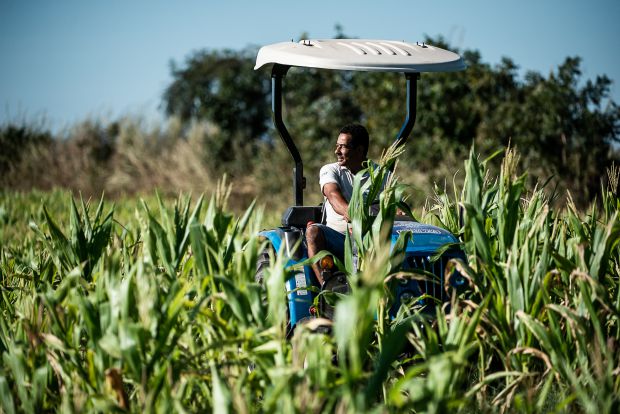 agro-pequeno-produtor