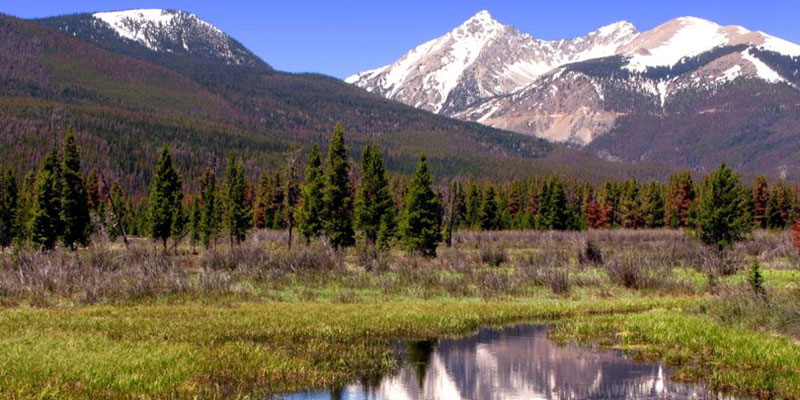 airborne-microplastic-particles