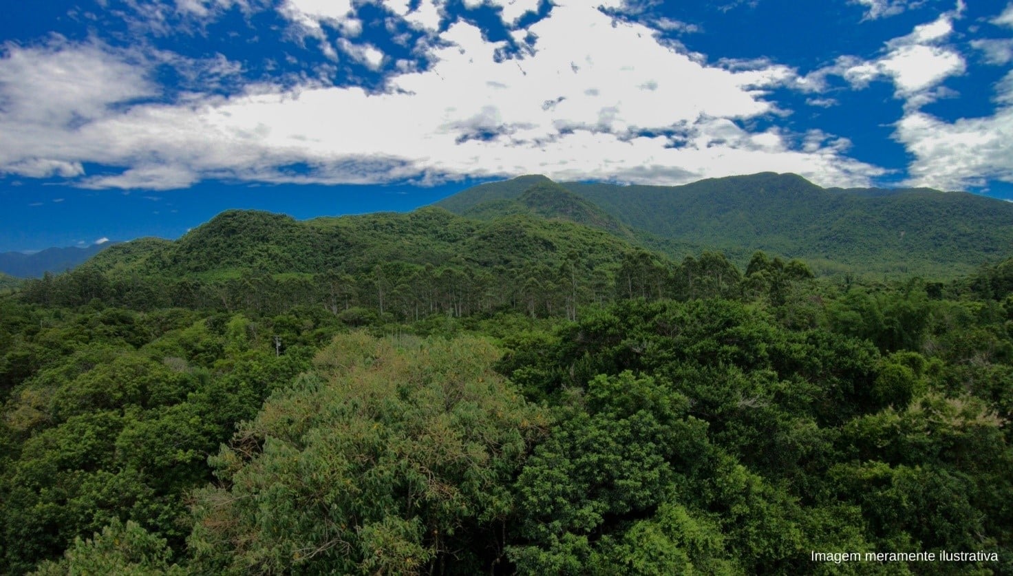 Relatório de Contabilidade Ambiental