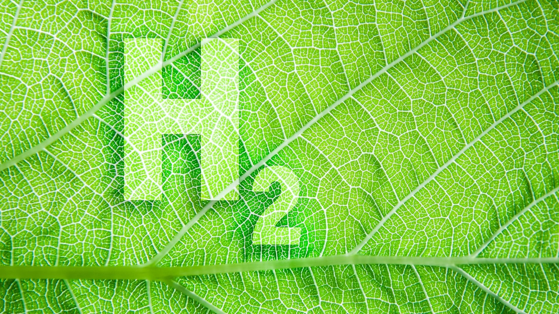 h2