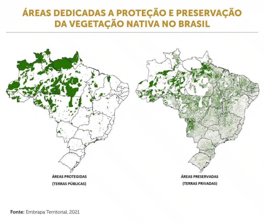 graficos-evaristo-01