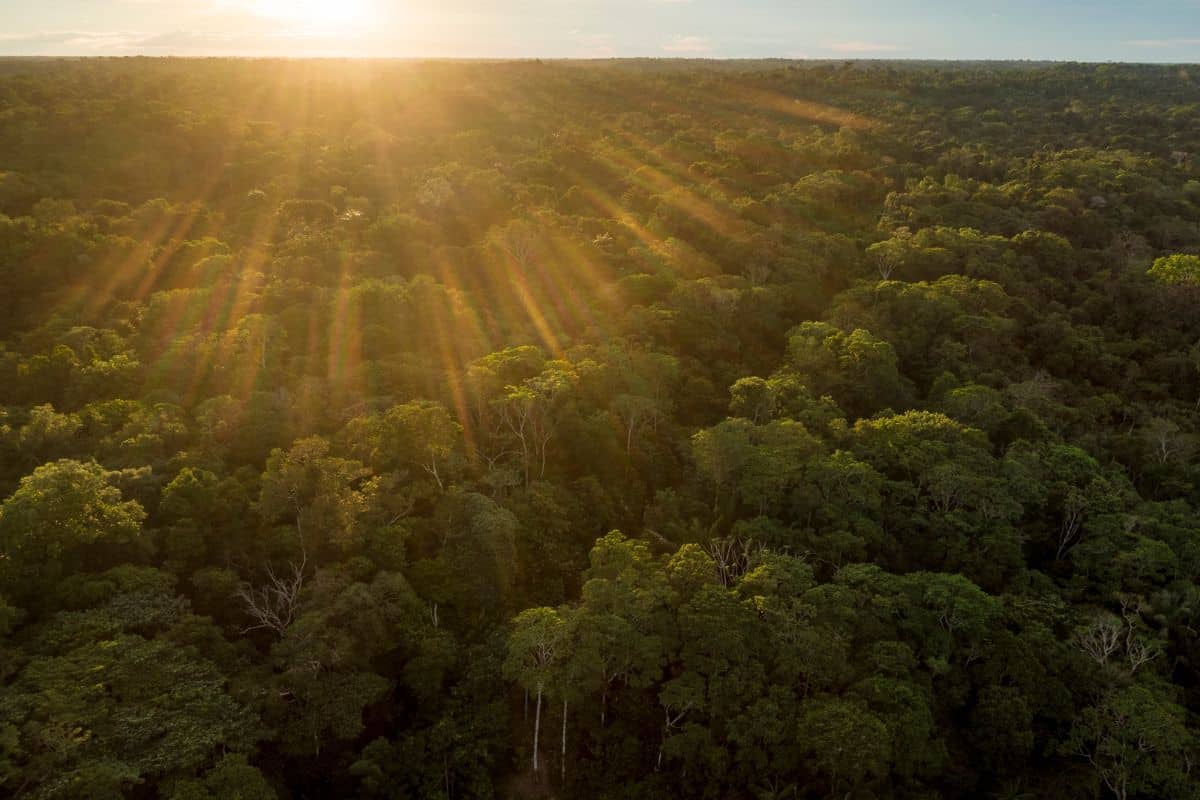 Mudanças climáticas