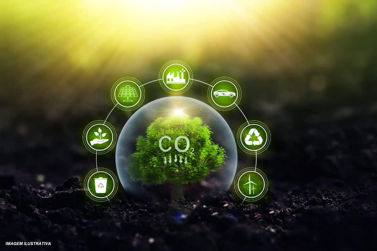 Startup brasileira cria calculadora para qualquer pessoa compensar as emissões de CO2