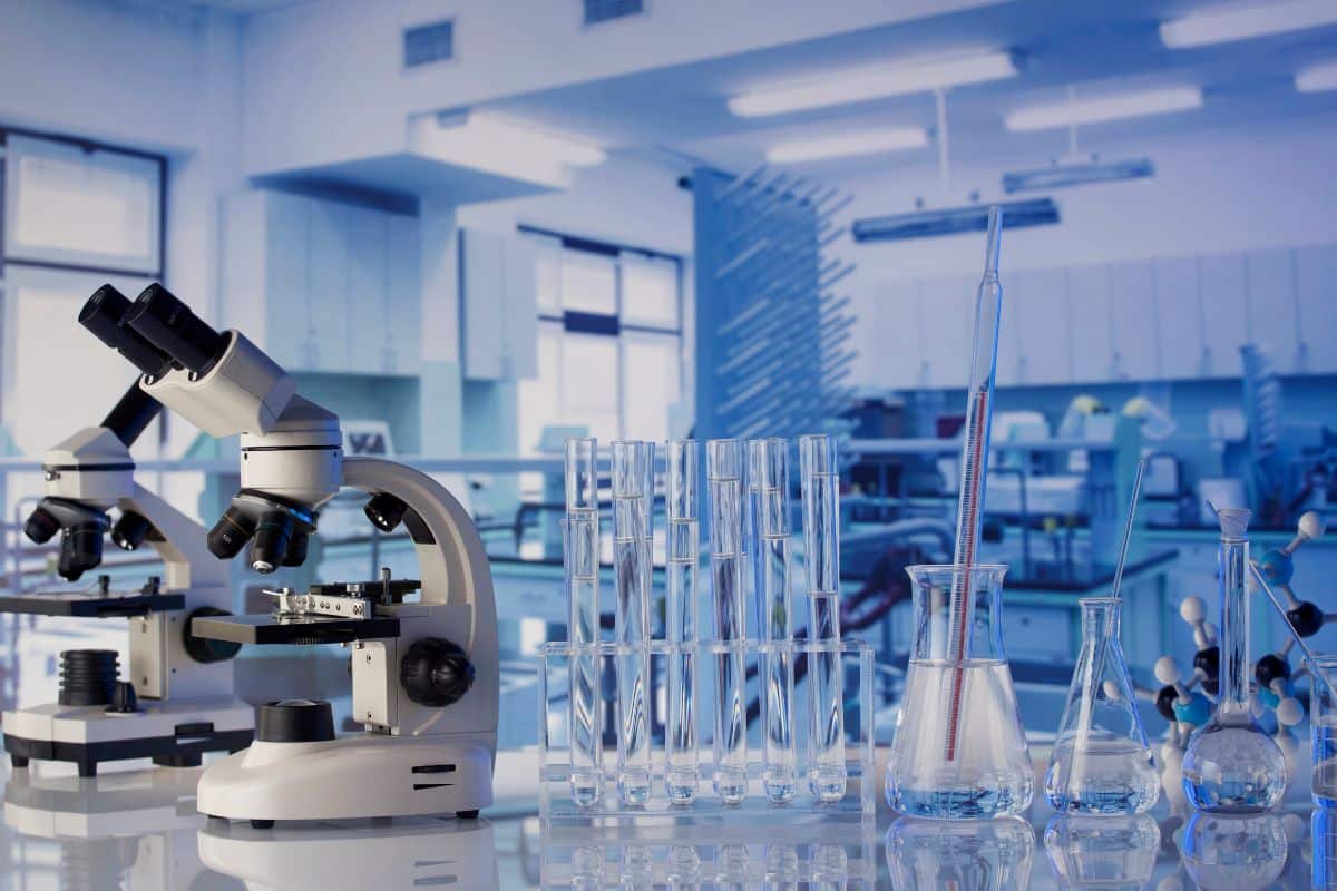 USP poderá ter unidade do Instituto Max Planck no campus de São Paulo em 2024