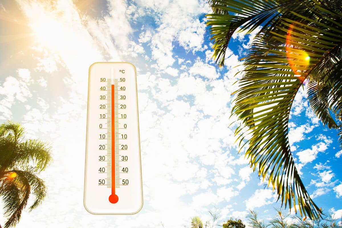 O valor da água na onda de calor