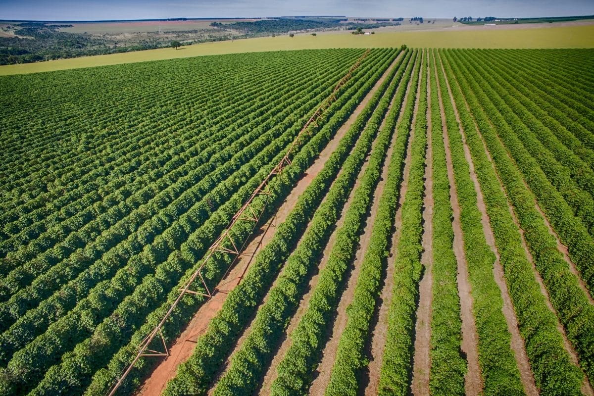 O que indústrias brasileiras estão fazendo para ser mais sustentáveis?