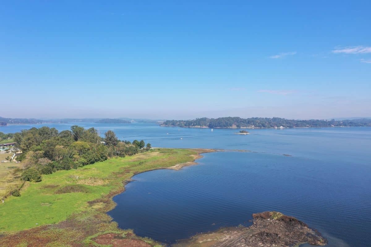 Alesp aprovou, em 2023, projetos que promovem sustentabilidade e preservação ambiental