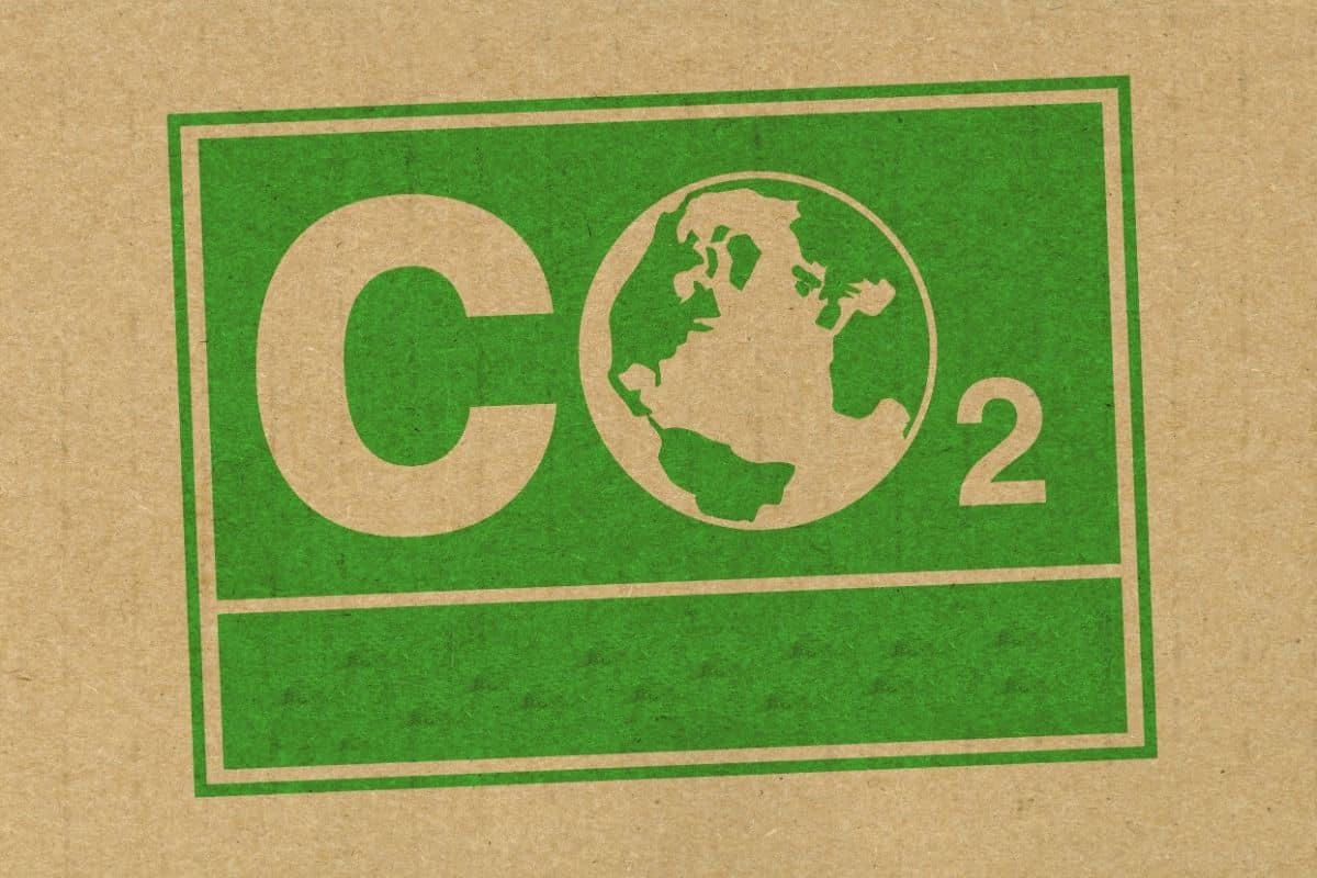 O mercado brasileiro de carbono cada vez mais próximo