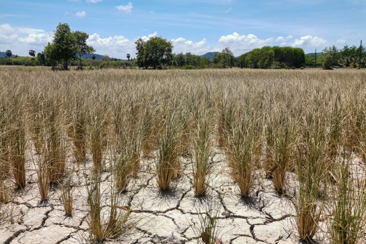 Norte, Nordeste e Centro-Oeste podem perder 40% da água até 2040