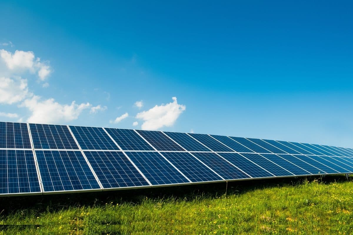 Transição energética e compensação de carbono: uma mistura para o futuro do planeta