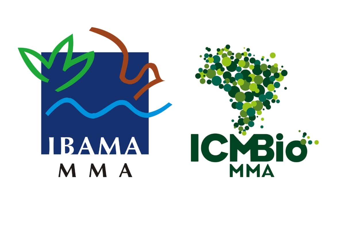 Multas no Cerrado caem 48% com greve no Ibama e no ICMBio