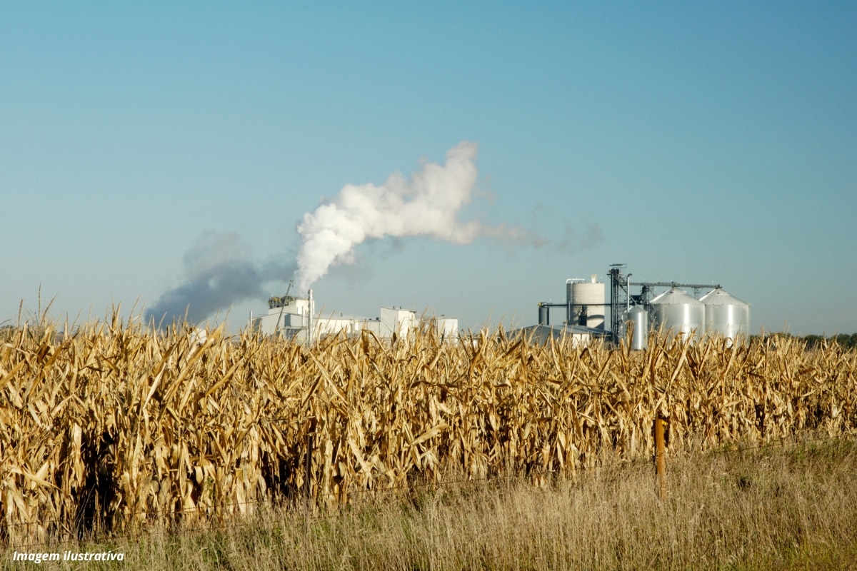 Brasil Conta Com A Maior Empresa Produtora De Etanol De Milho Do Planeta