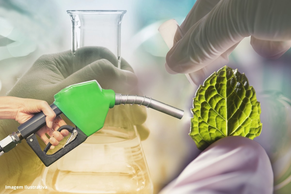 Pesquisadores do Ceará desenvolvem bio-óleo para combustível de aviação a partir da casca de coco