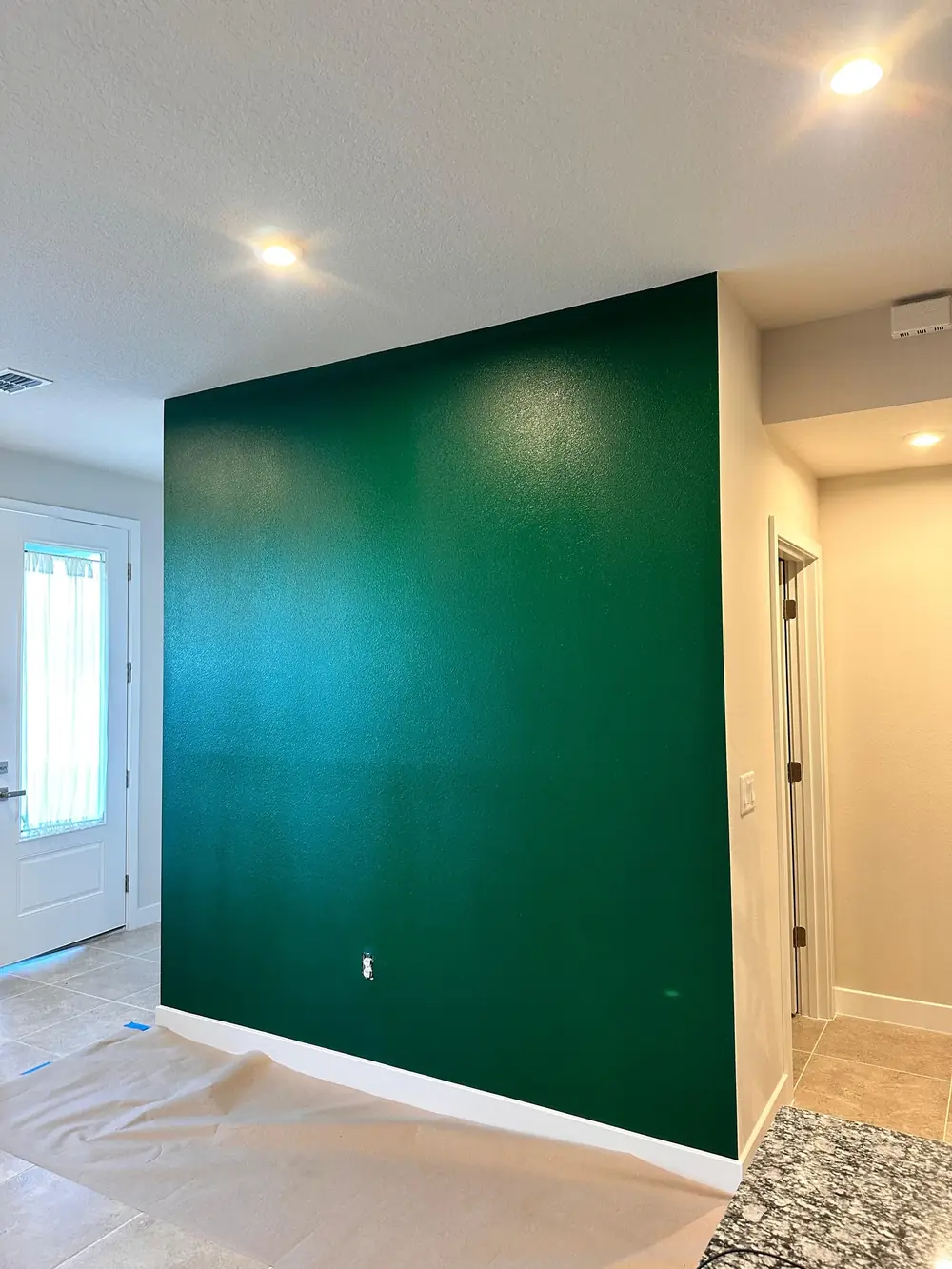 Bold accent wall painted by Waterfield Paints