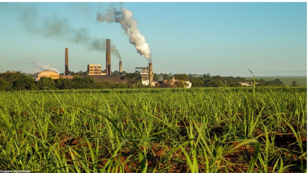 Biometano de vinhaça