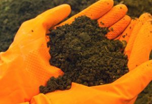 Consultoria Ambiental e Gerenciamento de Áreas Contaminadas