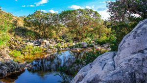 O Cerrado pode perder 33,9% dos fluxos dos rios até 2050, caso o ritmo da exploração agropecuária permaneça com os níveis atuais.