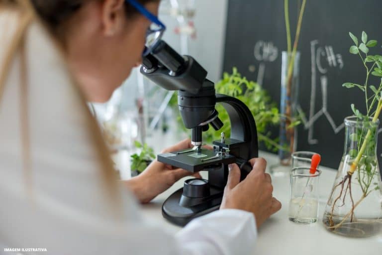 Rio de Janeiro tem novo centro de pesquisas sobre clima e meio ambiente