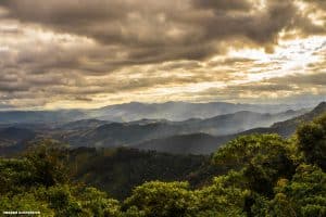 preservação ambiental