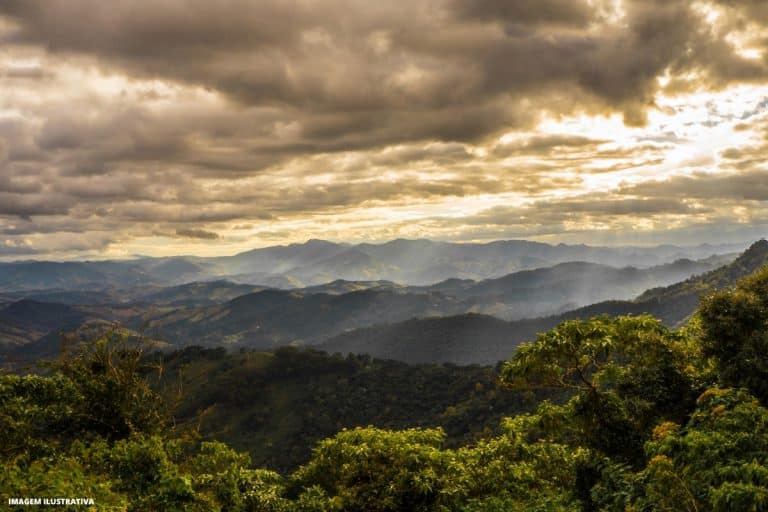 preservação ambiental