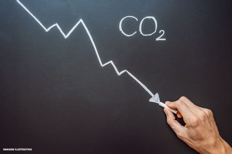 emissões de carbono