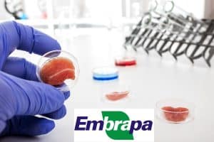 Embrapa