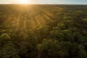 Mudanças climáticas