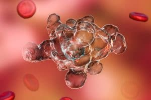 Ameba “comedora de cérebros” é nova preocupação no Norte dos EUA, alertam autoridades