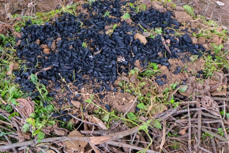Biochar