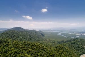 Concentração de carbono no solo