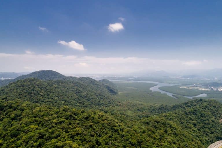 Concentração de carbono no solo