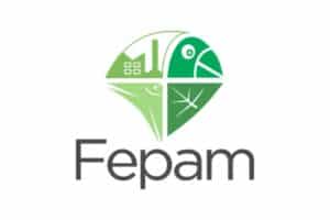 Fepam