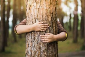 Não basta abraçar árvore entenda as novas tecnologias de medição de carbono