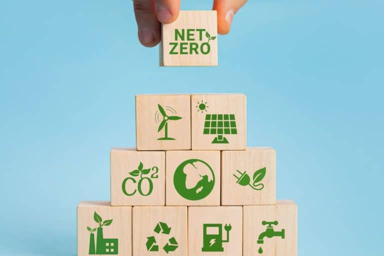 Primeira bolsa de créditos de carbono do mundo, B4 espera movimentar R$ 12 bi em um ano