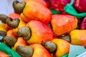 Bagaço de caju se torna matéria-prima para produção de hidrogênio verde em processo inédito e de baixo custo desenvolvido por pesquisadores da Universidade Federal do Ceará