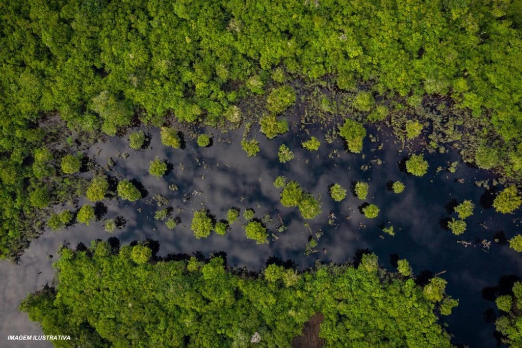 Por que conservar a natureza é parte dos negócios e da garantia da qualidade de vida?