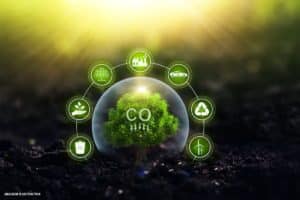 Startup brasileira cria calculadora para qualquer pessoa compensar as emissões de CO2
