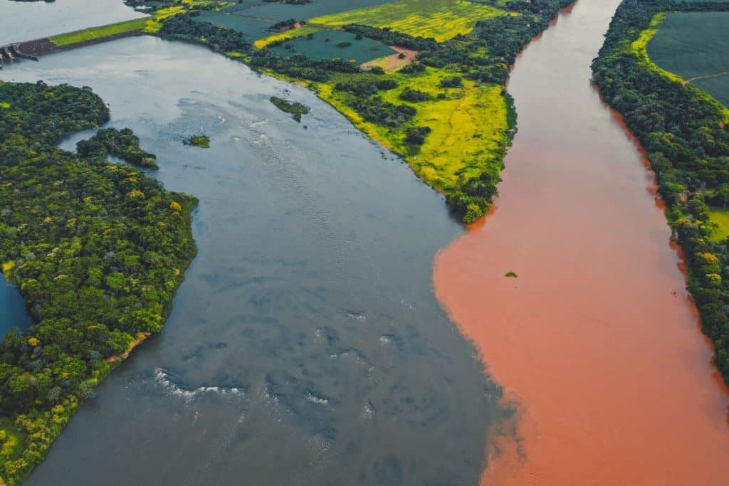 Amazonas perdeu em setembro superfície de água equivalente à área do Distrito Federal