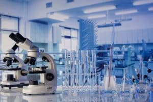 USP poderá ter unidade do Instituto Max Planck no campus de São Paulo em 2024