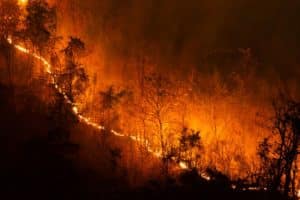 MT e MS somam quase 4 mil focos de incêndio em novembro; Pantanal é afetado